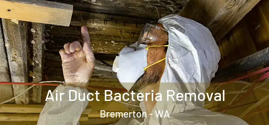 Air Duct Bacteria Removal Bremerton - WA