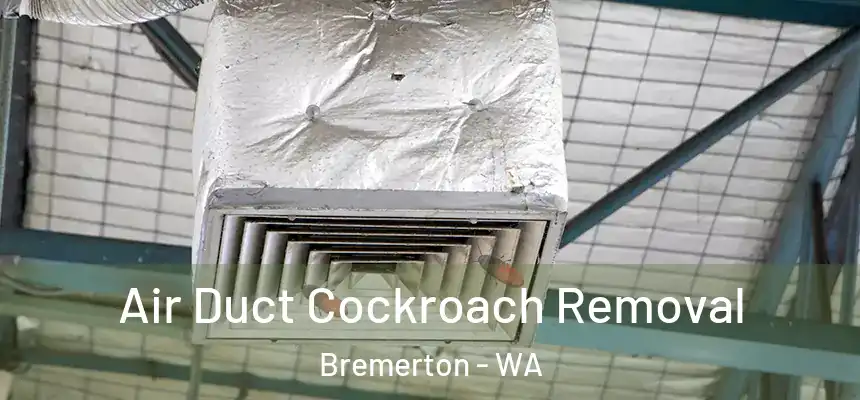 Air Duct Cockroach Removal Bremerton - WA