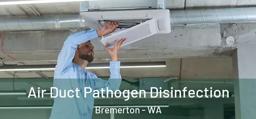 Air Duct Pathogen Disinfection Bremerton - WA