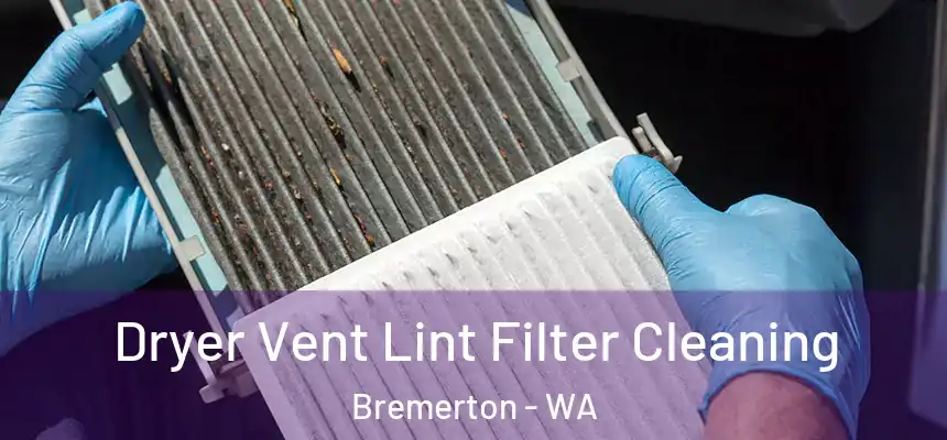 Dryer Vent Lint Filter Cleaning Bremerton - WA