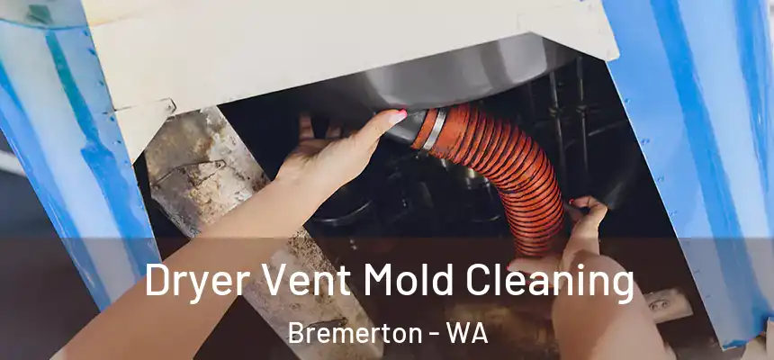 Dryer Vent Mold Cleaning Bremerton - WA