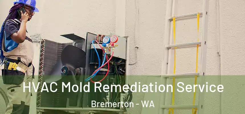 HVAC Mold Remediation Service Bremerton - WA