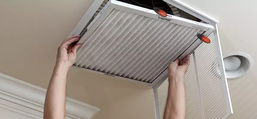 Preventive Cockroach-Proofing for Ducts in Bremerton