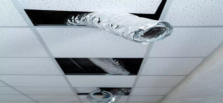 Affordable HVAC Sanitizing After Pest Removal in Bremerton