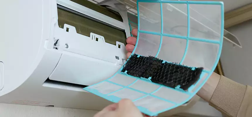 Gentle Ductwork Odor-Control Pet Dander Duct Cleaning in Bremerton, WA