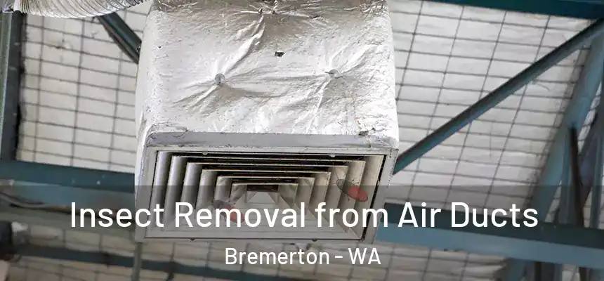  Insect Removal from Air Ducts Bremerton - WA