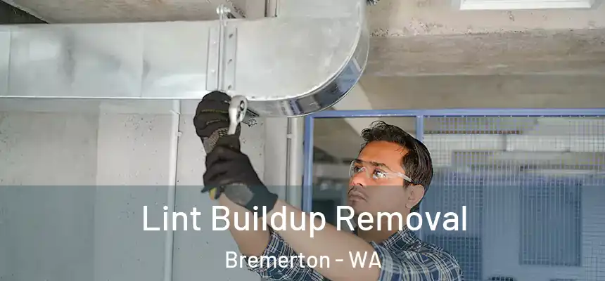 Lint Buildup Removal Bremerton - WA