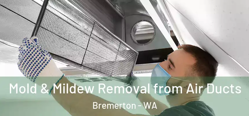 Mold & Mildew Removal from Air Ducts Bremerton - WA