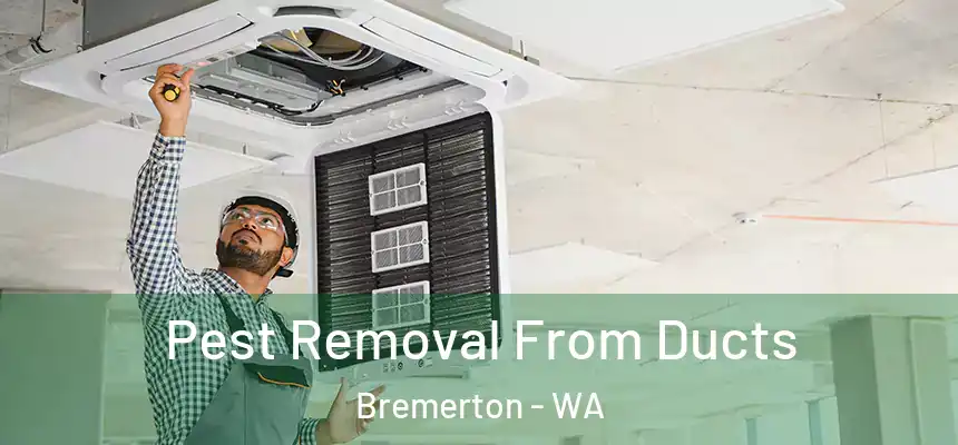 Pest Removal From Ducts Bremerton - WA