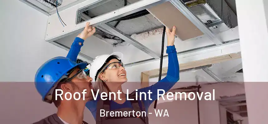 Roof Vent Lint Removal Bremerton - WA