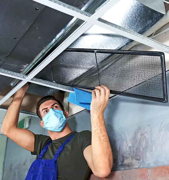 About Air Duct Bacteria Removal in Bremerton