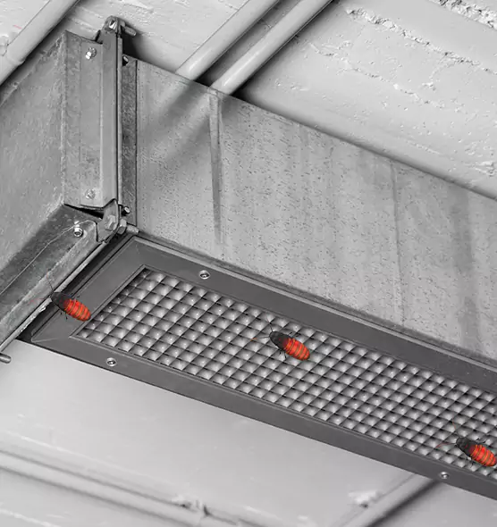 About Air Duct Cockroach Removal in Bremerton, WA