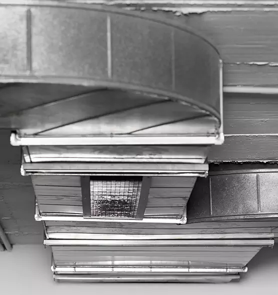 Professional Air Duct Pet Hair Removal in Bremerton, WA