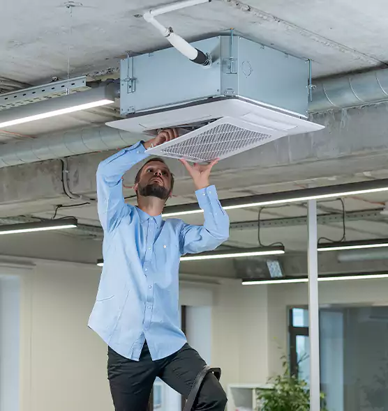 Advanced Rodent Droppings In Vents in Bremerton, WA