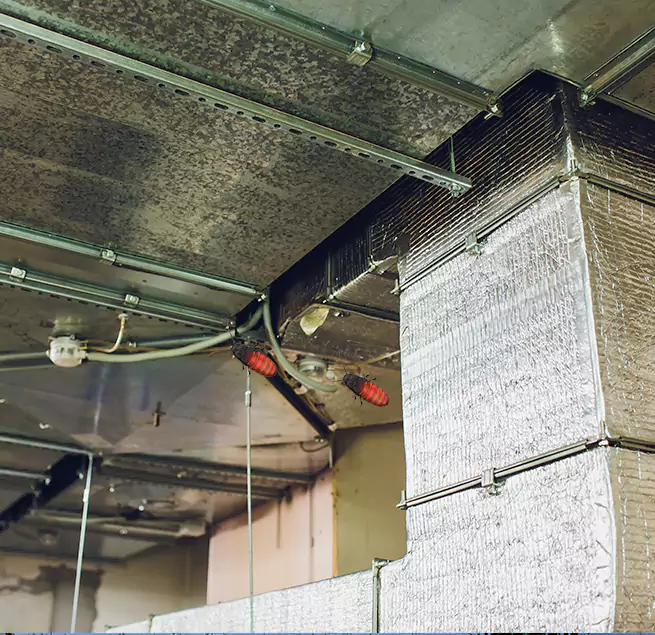 Why Homeowners & Businesses Trust Us in Bremerton, WA?