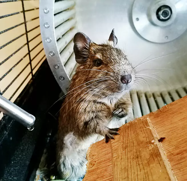 Why Homeowners & Businesses Trust Us Bremerton, WA