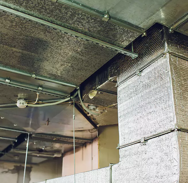 Why Homeowners & Businesses Trust Us in Bremerton, WA?